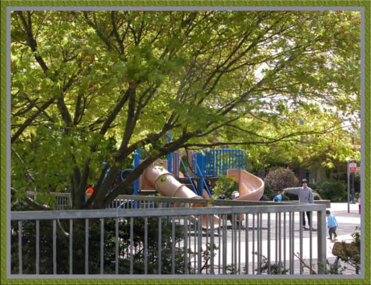 New foliage surrounds the playground.