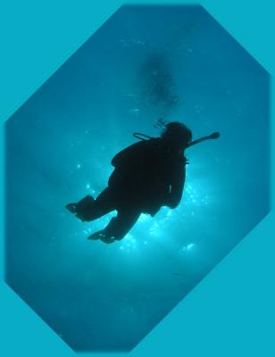 Docs dive Hal.jpg