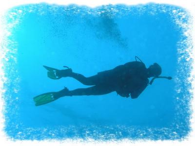Docs dive Hal 2.jpg