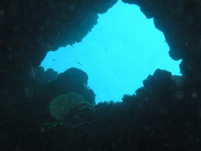 Docs dive thru a hole.jpg