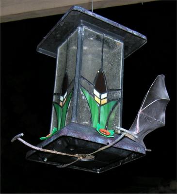 Bat at hummingbird feedeer.jpg