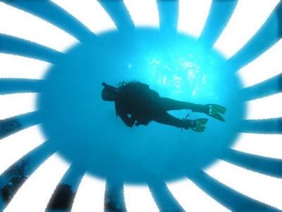 Docs dive n neumans wall Hal sunbrst.jpg
