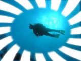Docs dive n neumans wall Hal sunbrst.jpg