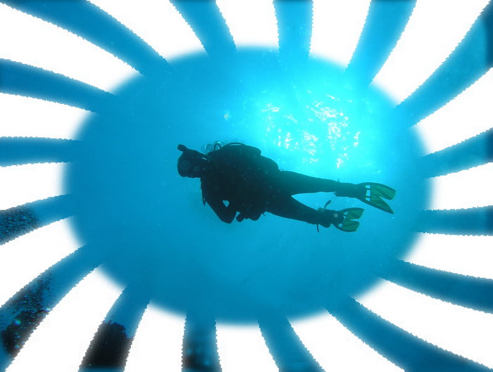 Docs dive n neumans wall Hal sunbrst.jpg