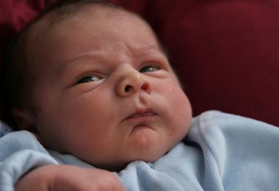 IMG_3181 copy.jpg