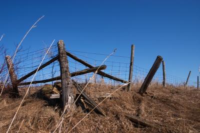 farm fence in straw