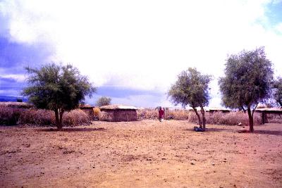 Masai Village