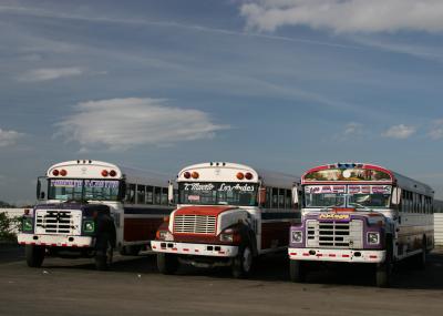 more cool colorful buses!