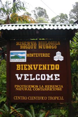 Welcome to Monteverde rainforest!