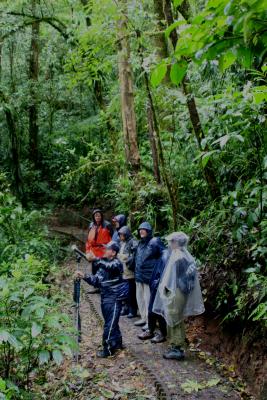 Monteverde rainforest 'guided tour'