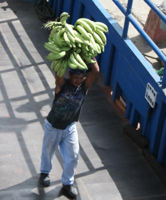banana delivery