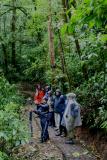 Monteverde rainforest guided tour