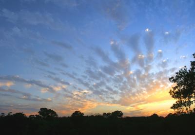 Texas_Sunset.jpg