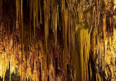 Carlsbad Caverns23