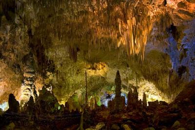 Carlsbad Caverns24