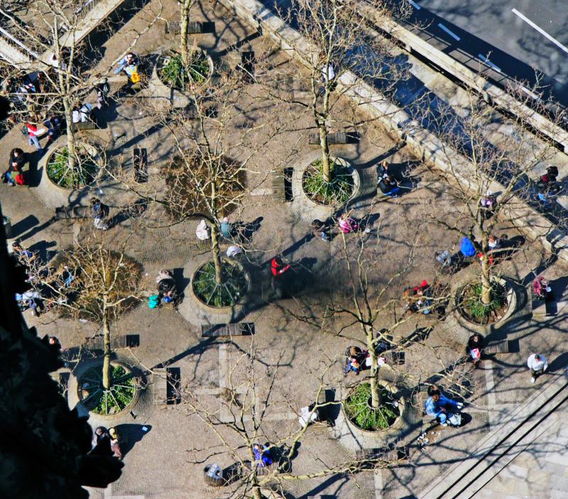 View from the South Tower of Cologne Cathedral