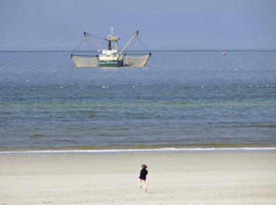 Seaside Scene on Ameland, Netherlands
