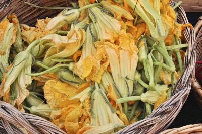 Zucchini Blossoms