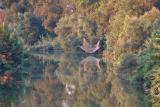 River with Fishing Net