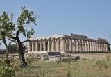 Paestum Temple of Hera