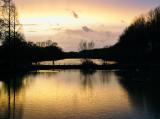 Evening Light near the River Rhine