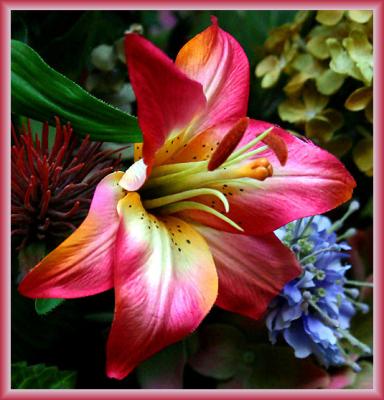 Floral Engagement Reveals Mysterious Enchantment