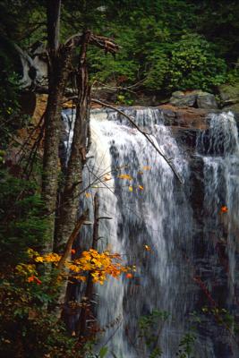 Waterfall in Western Pennsylvania