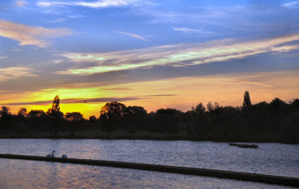 dansonpk01a-j.jpg