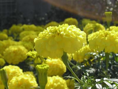 P1080011.JPG