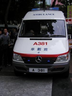 PB240012-R.JPG