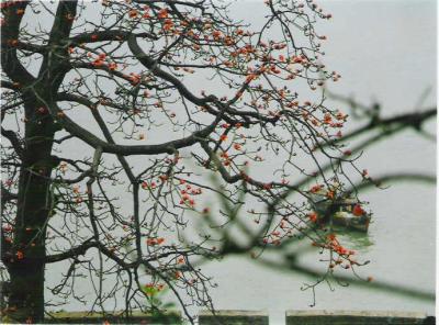 SW12.jpg