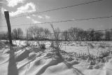 Snow in Cades cove, 1977-78