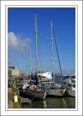 Tall masts, Weymouth