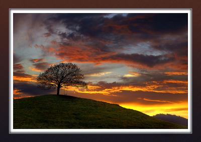 Sundown at Burrow Hump, Stembridge, Somerset