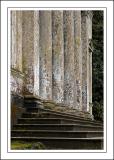 Steps and pillars ~ Stourhead