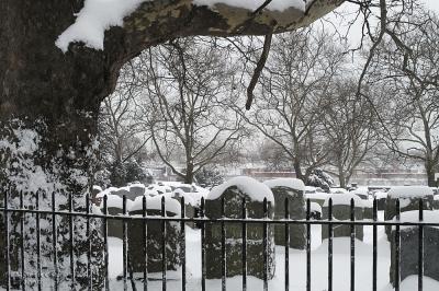 Winter Cemetery03.jpg