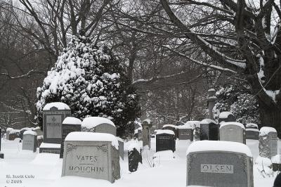 Winter Cemetery04.jpg