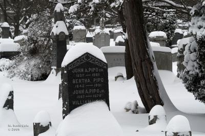 Winter Cemetery05.jpg