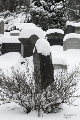Winter Cemetery08.jpg