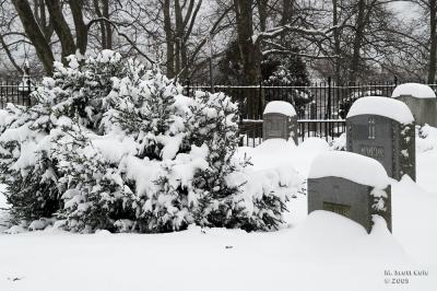 Winter Cemetery09.jpg