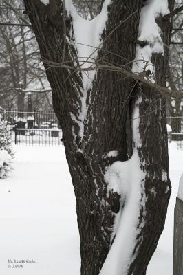 Winter Cemetery11.jpg