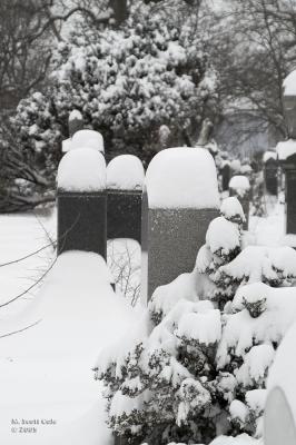 Winter Cemetery13.jpg