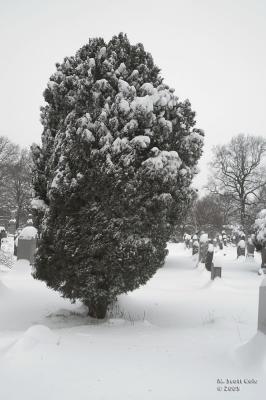 Winter Cemetery14.jpg