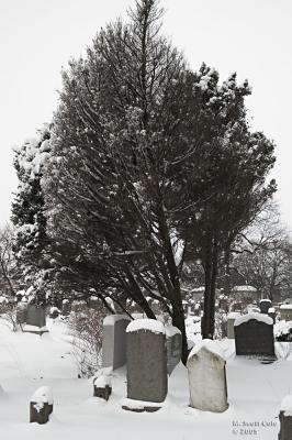 Winter Cemetery18.jpg