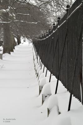 Winter Cemetery30.jpg