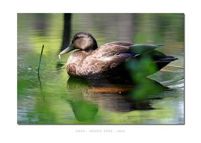 Shubie Park