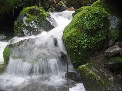 Creek Falls (01-28-05)