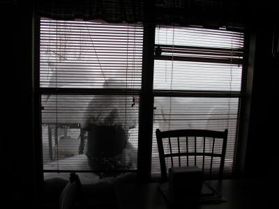 Snow on the deck