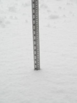 19 inches of snow