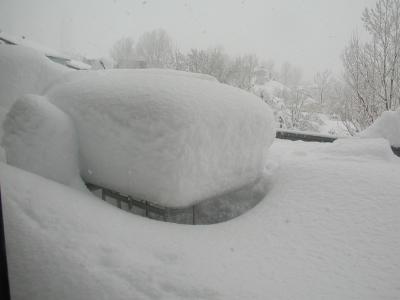 Snow on the deck